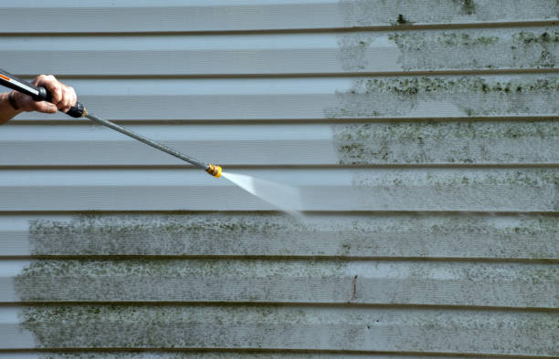 Best Patio and Deck Pressure Washing  in Albany, MO